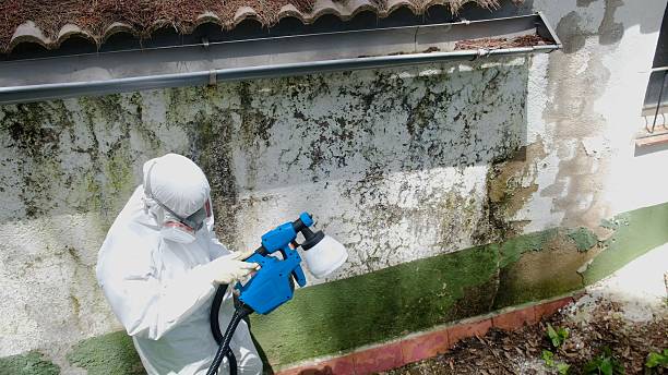 Top rated local Mold Removal specialists in West Point, GA